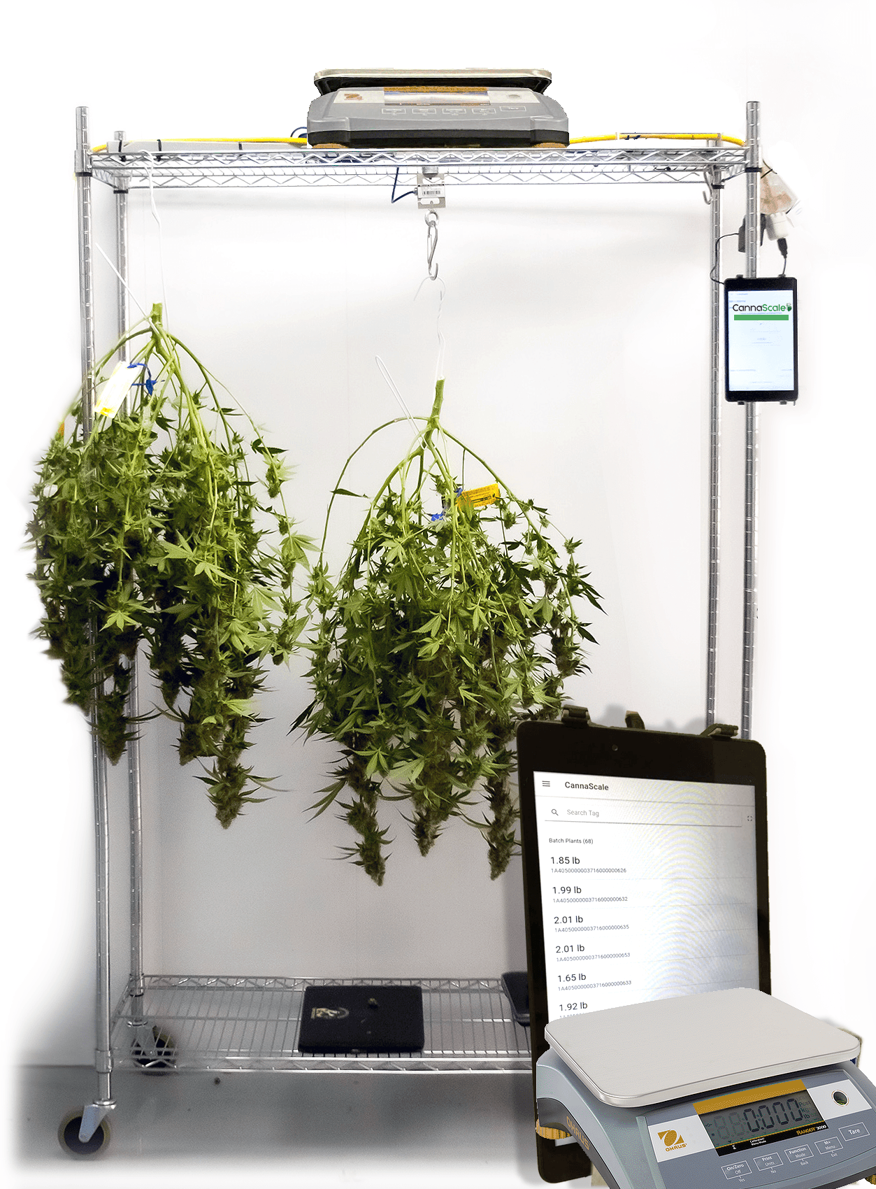 CannaScale Harvest Bundle - Hanging Model