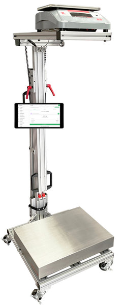 ScalesPlus VariWeigh Mobile Overhead Weighing System with Bulk Weighing